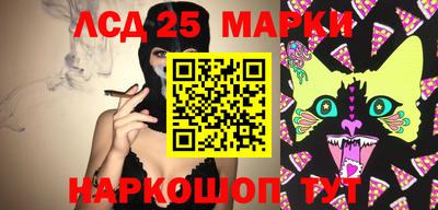 стаф Свободный