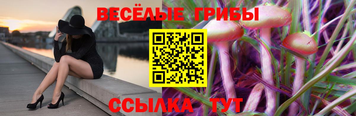 Галлюциногенные грибы Psilocybe Россошь